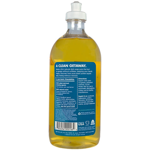 Better Life (Nicole) - Dish Soap Dish It Out - Lemon Mint - 6/22 Oz