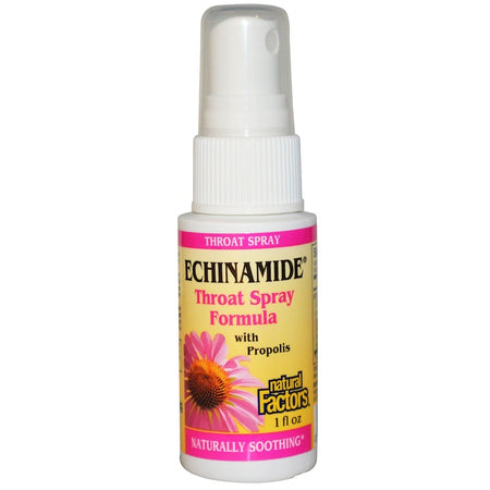 Natural Factors - Echinamide, Throat Spray Formula With Propolis,  - 1 Fl Oz