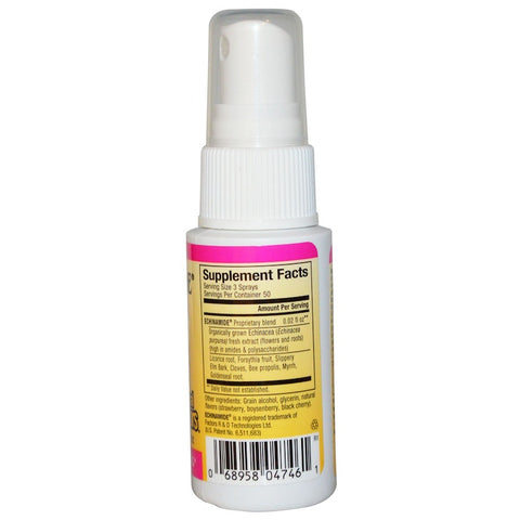 Natural Factors - Echinamide, Throat Spray Formula With Propolis,  - 1 Fl Oz