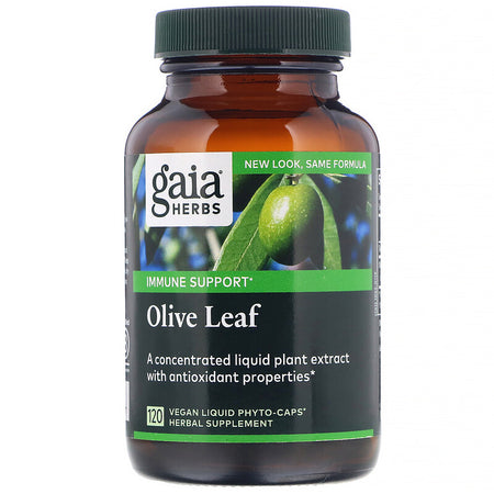 Gaia Herb - OLIVE LEAF LP CAPS 120ct