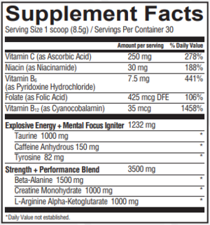Bodylogix Natural Preworkout - Iced Tea